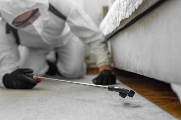 Professional Cockroach Control technician working in Northford, CT